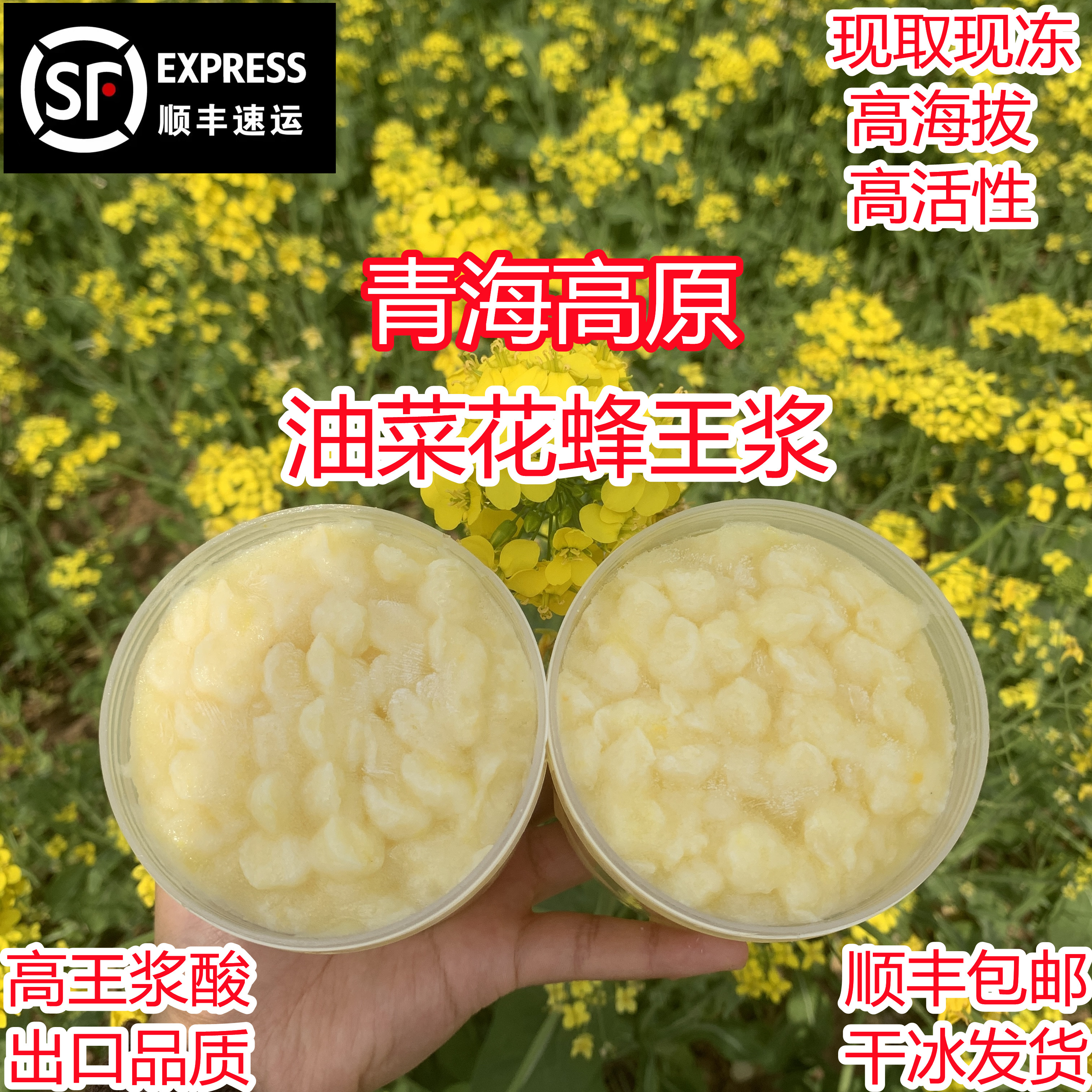 2025青海高原油菜花蜂王浆现取现冻顺丰冷链高品质滋补品到货不化