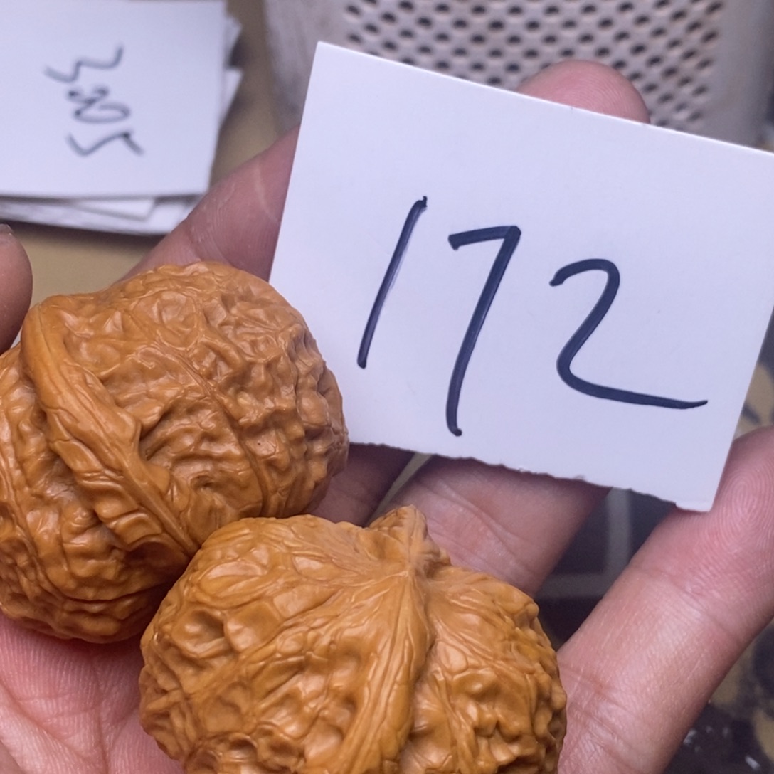 核桃南瓜蹲尺寸40