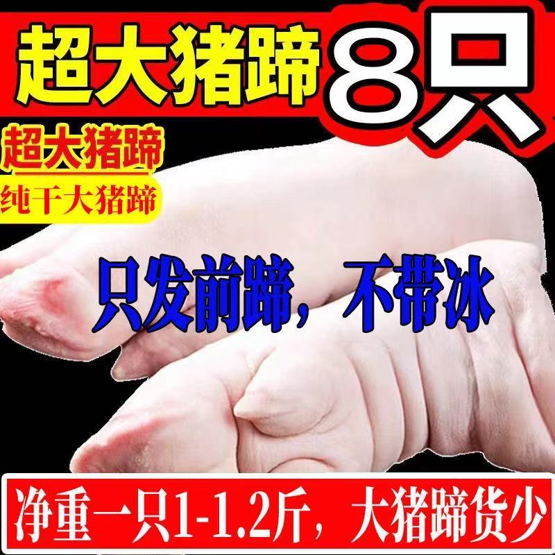 大号猪蹄带筋猪蹄子猪脚猪爪家用猪蹄猪手整只冰鲜前蹄