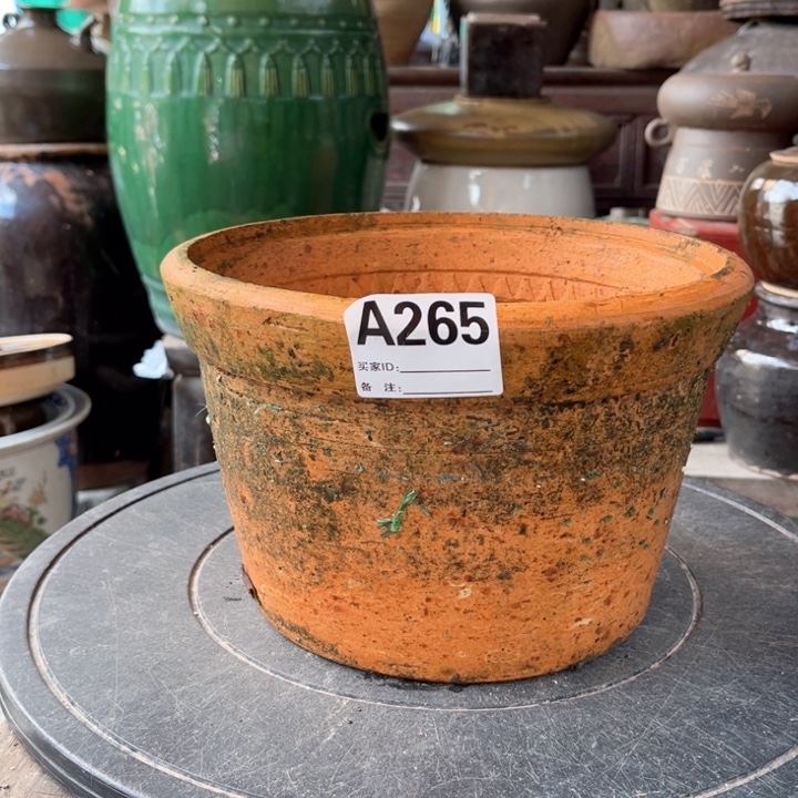 志***新瓷片明玉家的老陶罐