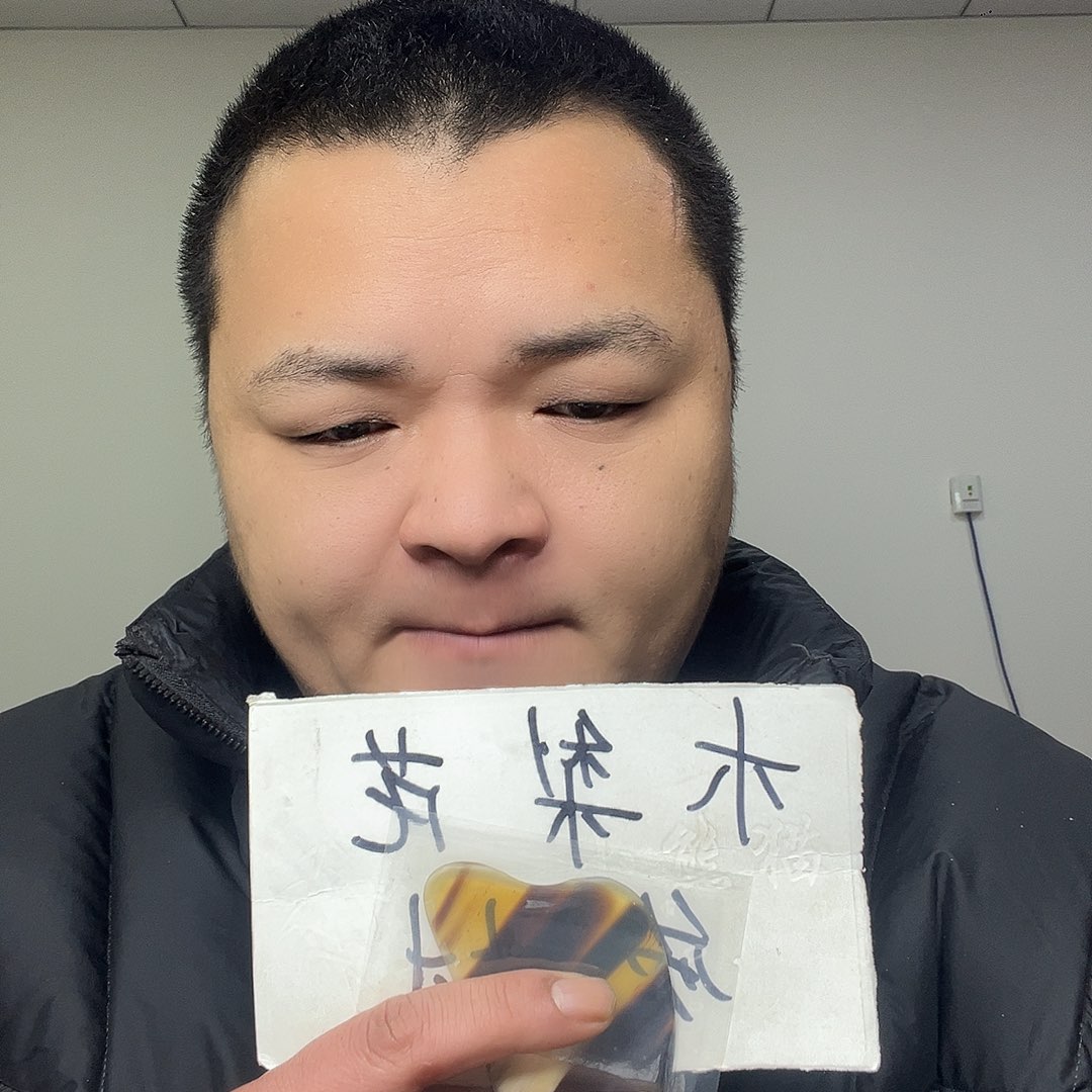 缅甸花梨（花梨木类）D01