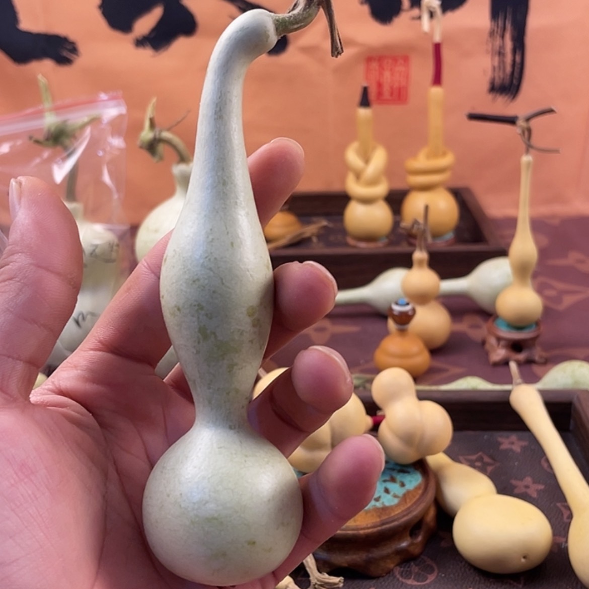 【闪购商品】G****_