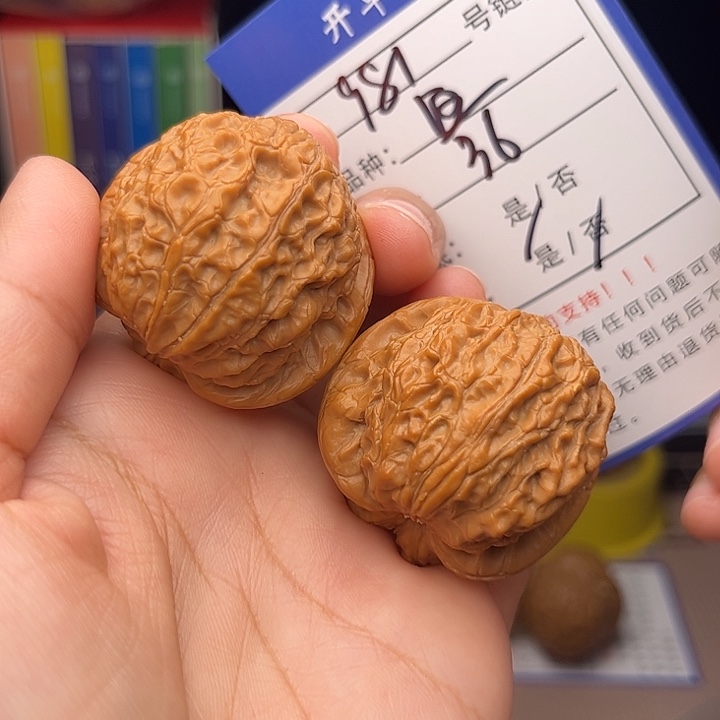 文玩核桃手捻核桃981