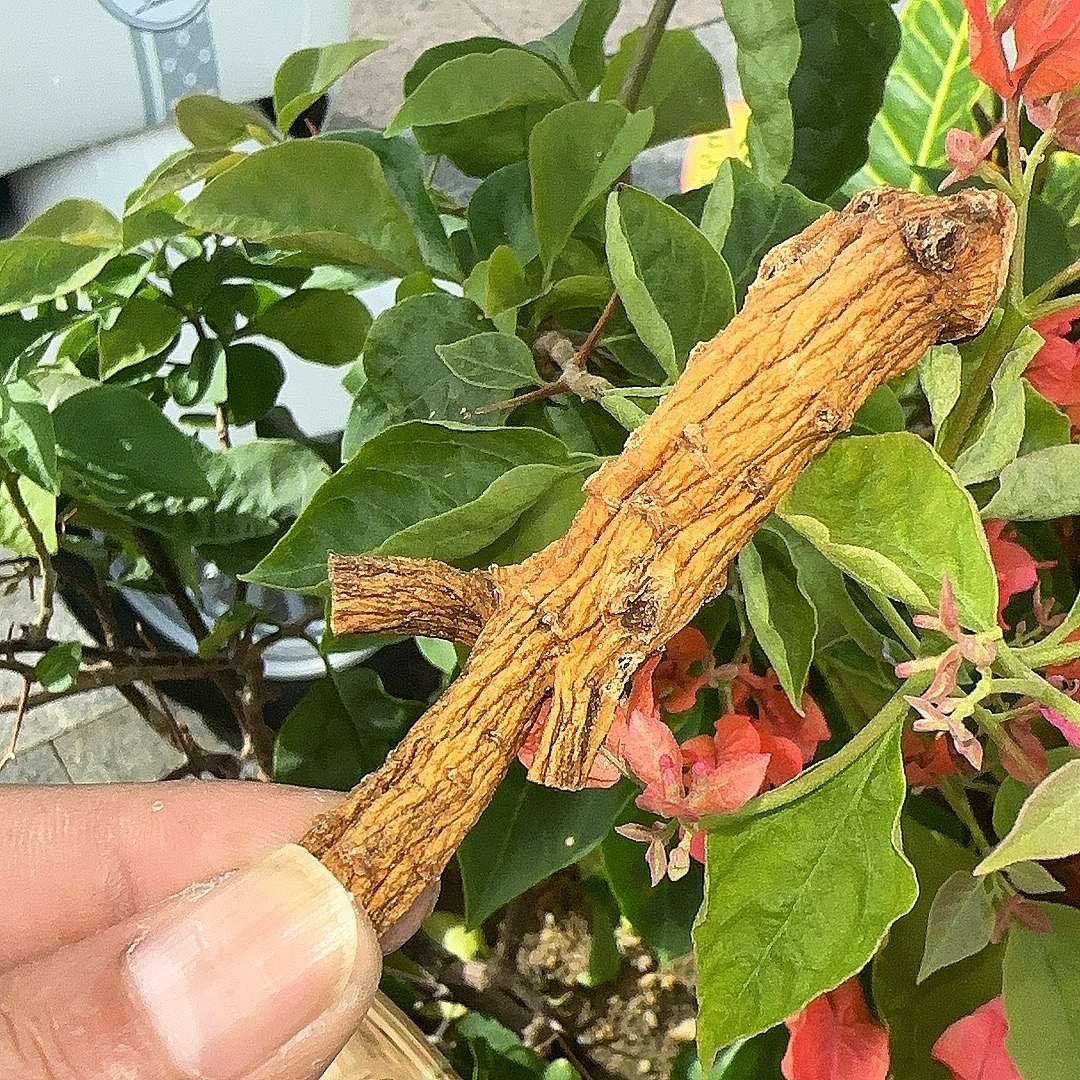 【前记精选】高丽参 200克