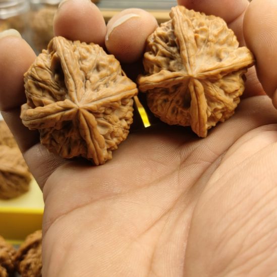 大***大木质类玉玺四棱核桃