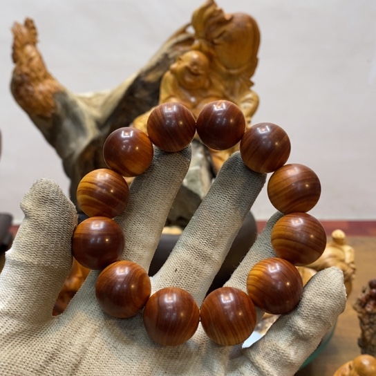 柏木（崖柏）用****3太行崖柏