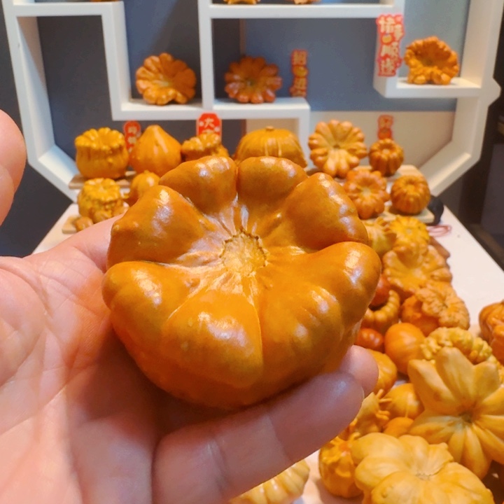 叶*墨西哥七彩葫芦