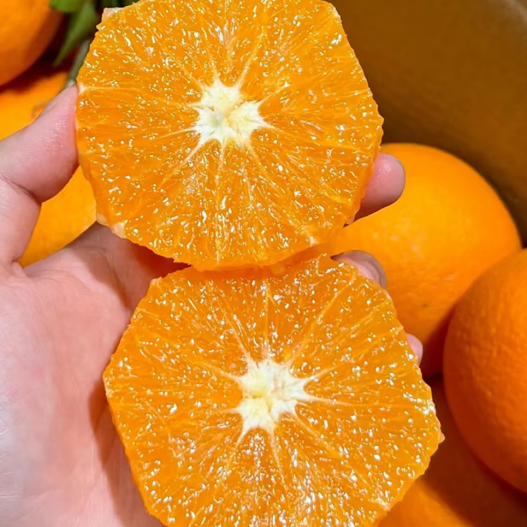 橙味浓郁赣南脐橙3斤大果(整果)云南省