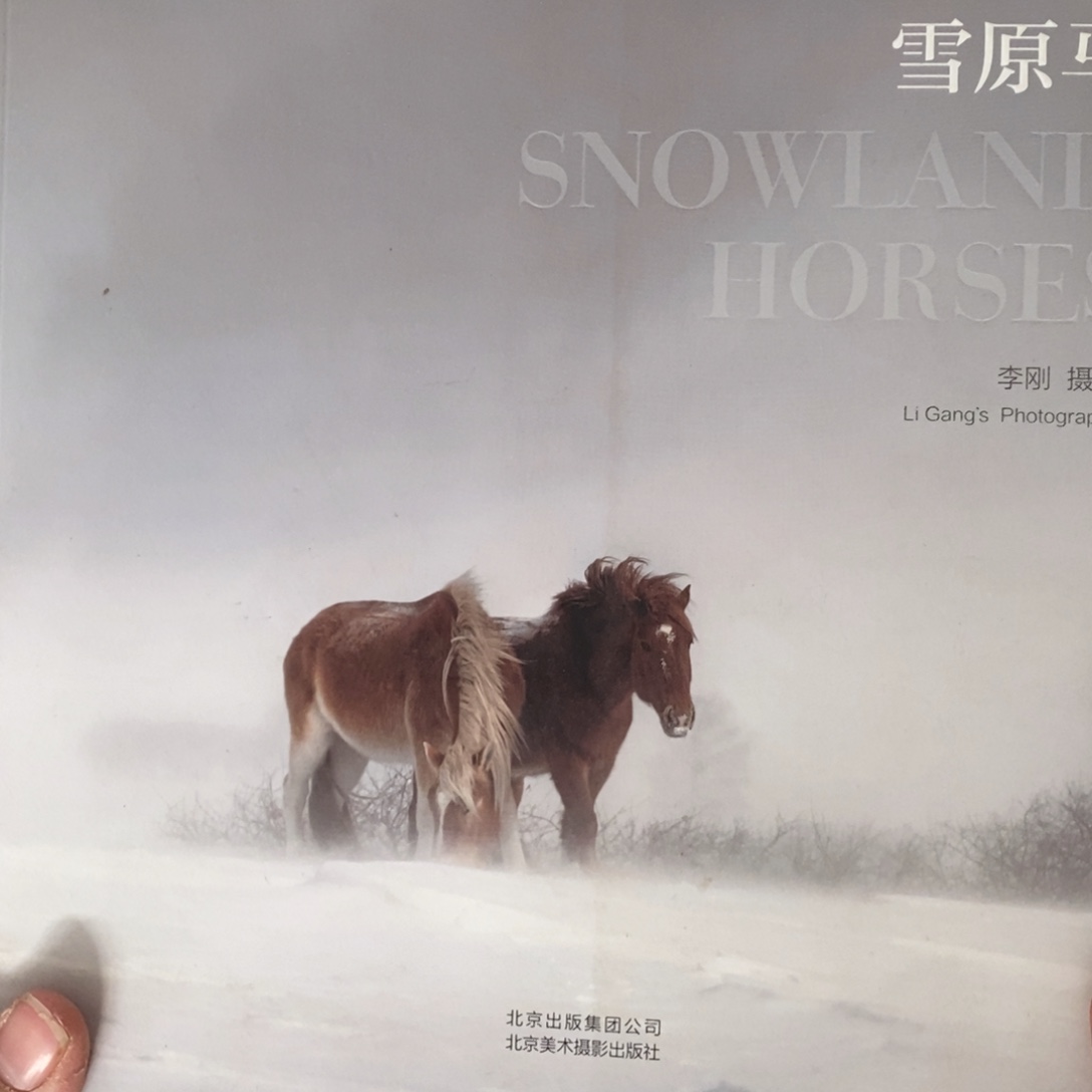 雪马李刚摄影作品