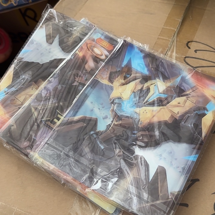 塑料王者荣耀卡册拍一发四