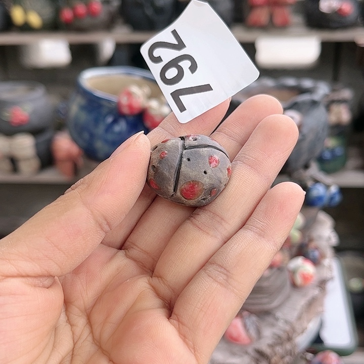 红陶 这个时候我们自己做自己