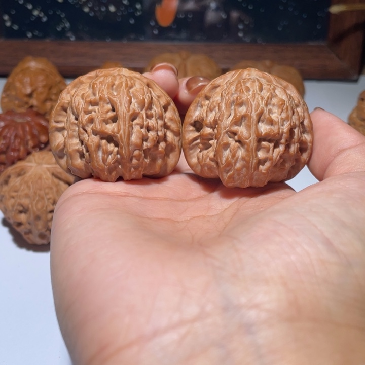 不***生核桃手串/手链41白狮子