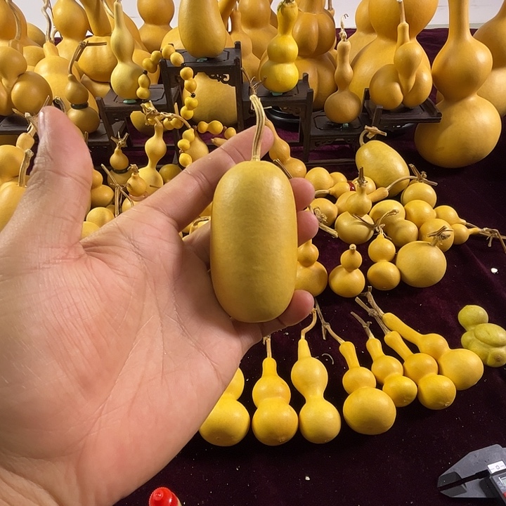 葫芦微瑕葫芦一个