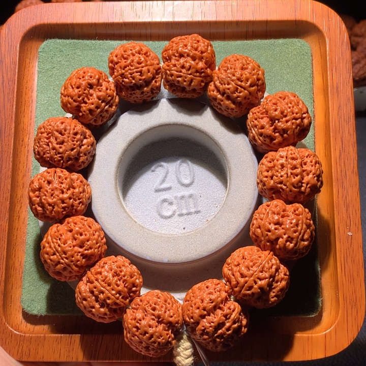 金刚菩提手串23+多肉