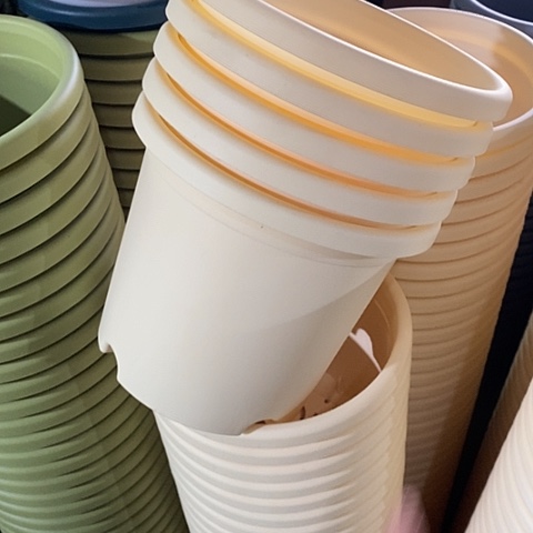 树脂四季2号12个无托米黄