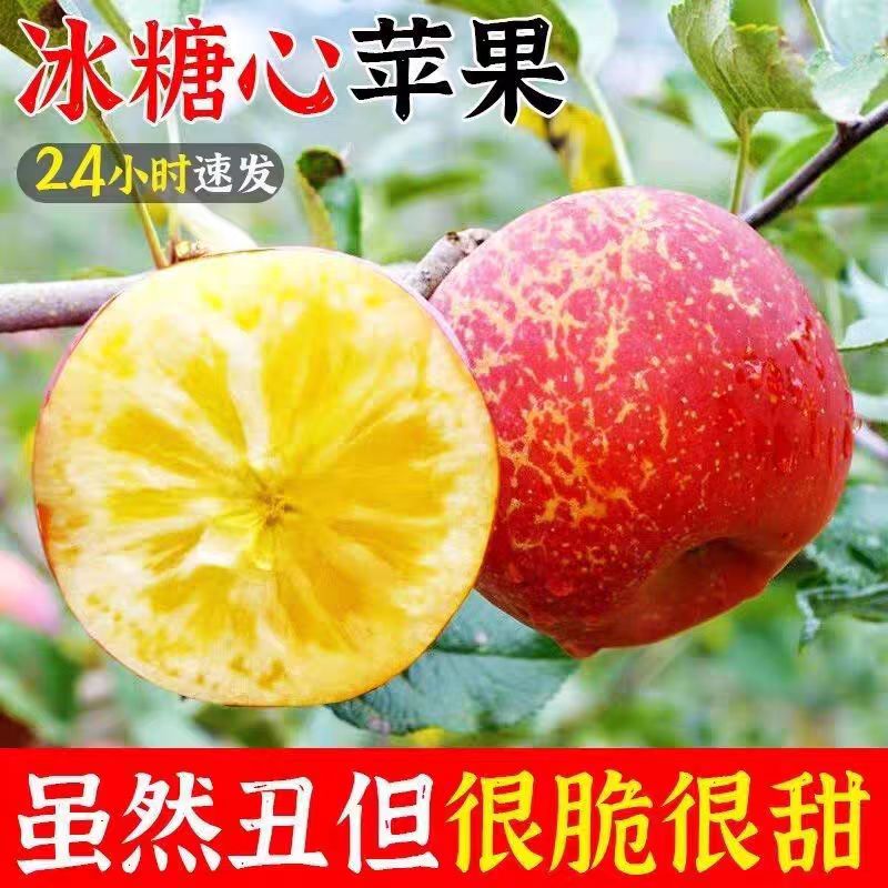 云南昭通丑苹果冰糖心新鲜水果小脆甜孕妇当季红富士5斤整箱包邮