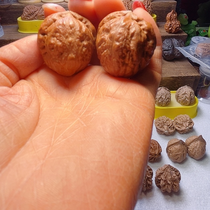 核桃9号车放漏漏漏漏