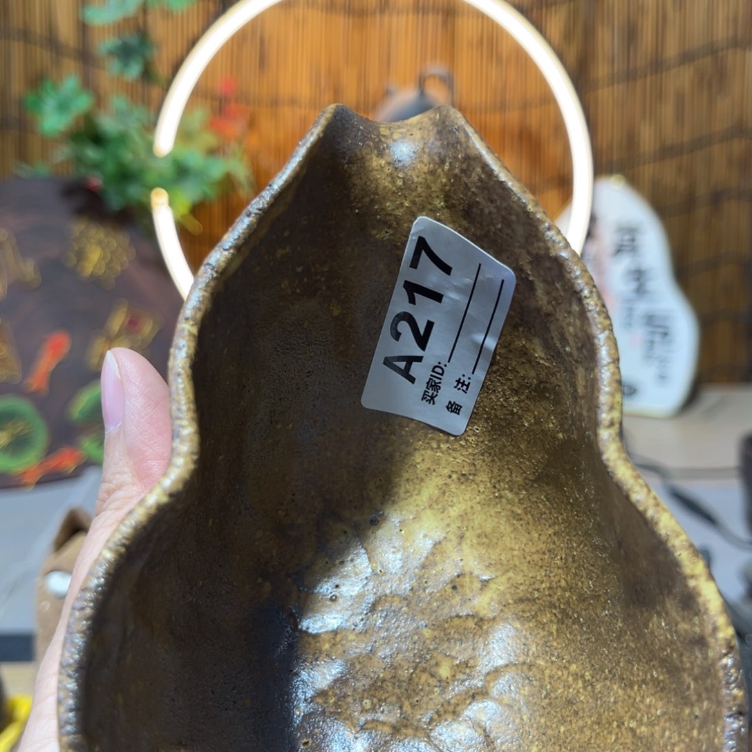 木村信弘柴烧保平