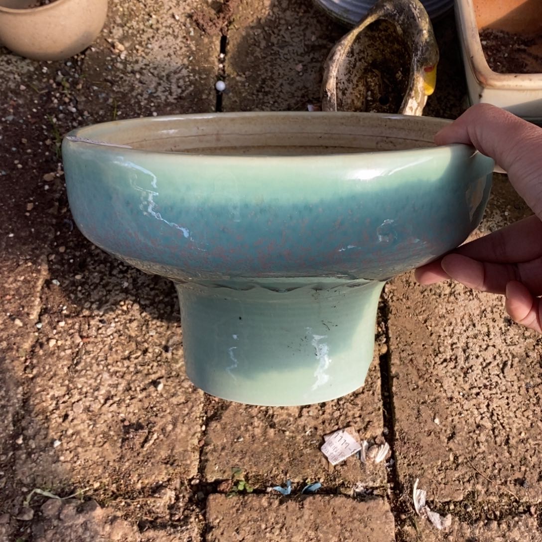 48号多肉盆口径21