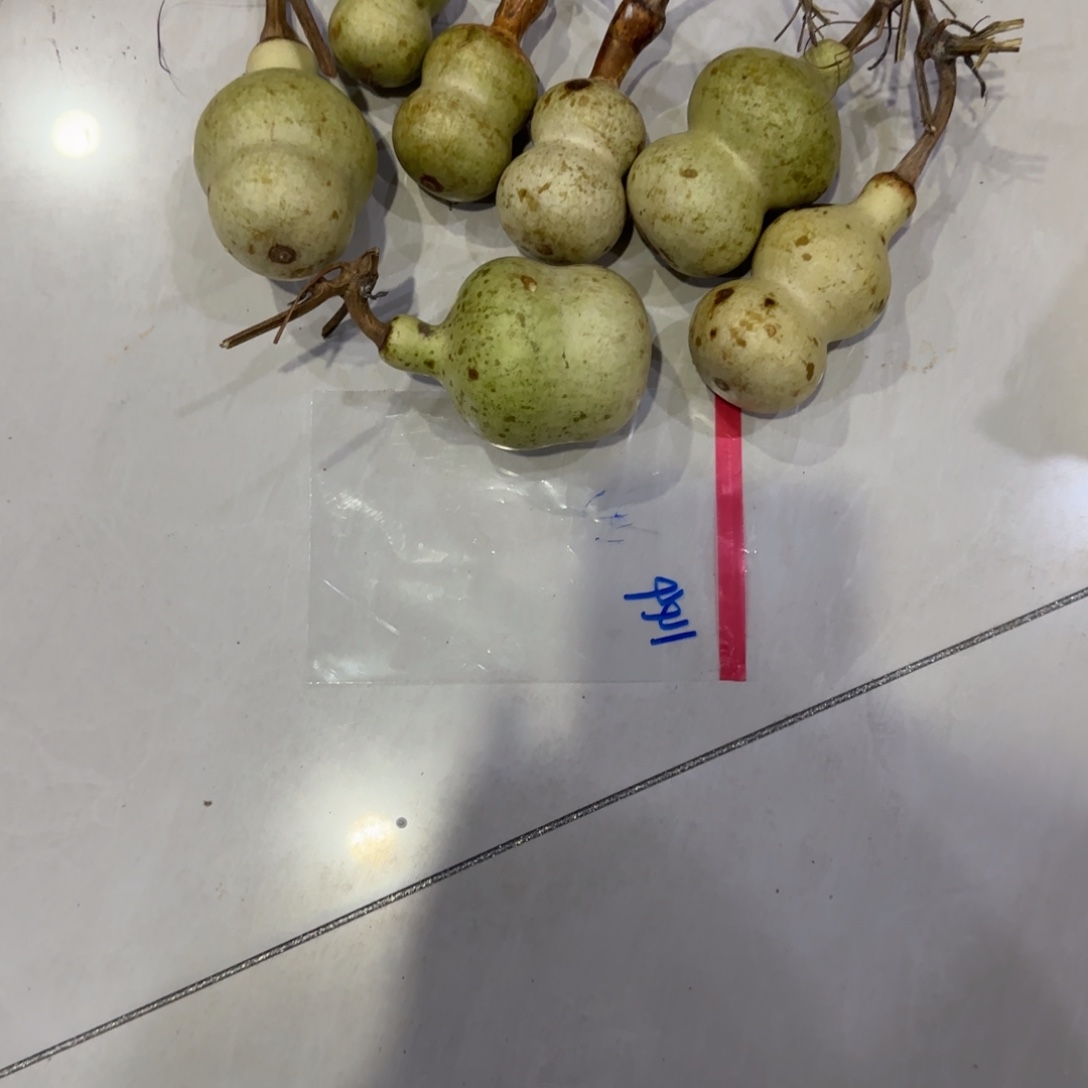 新***葫芦v干活GVv刚刚尴尴尬尬哈哈给GVv