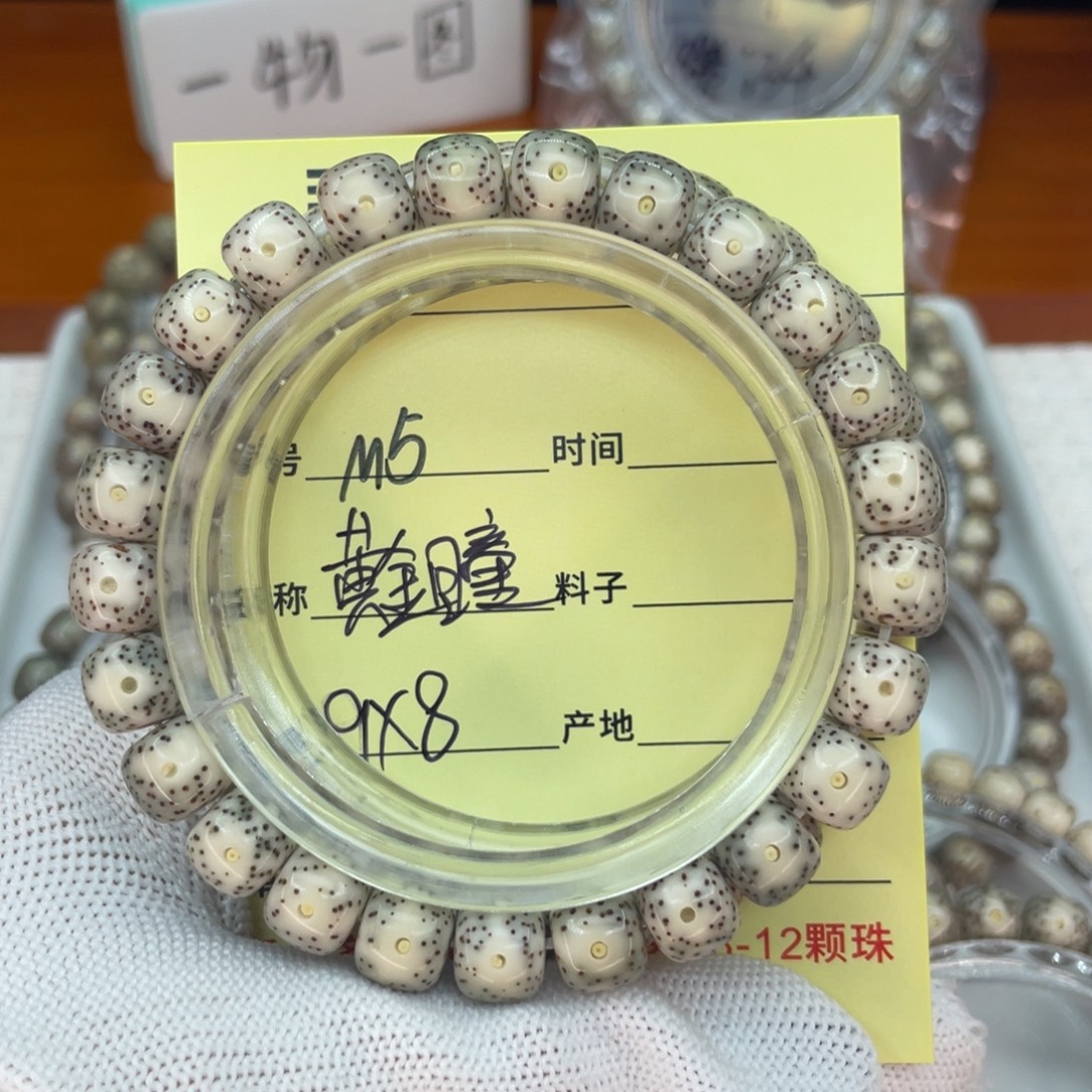 菩提籽类M黄金瞳，
