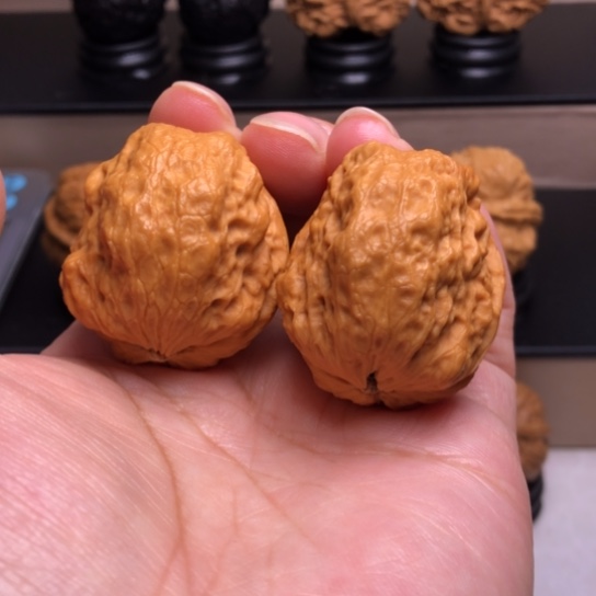 文玩核桃把件龙脊妖蟾36