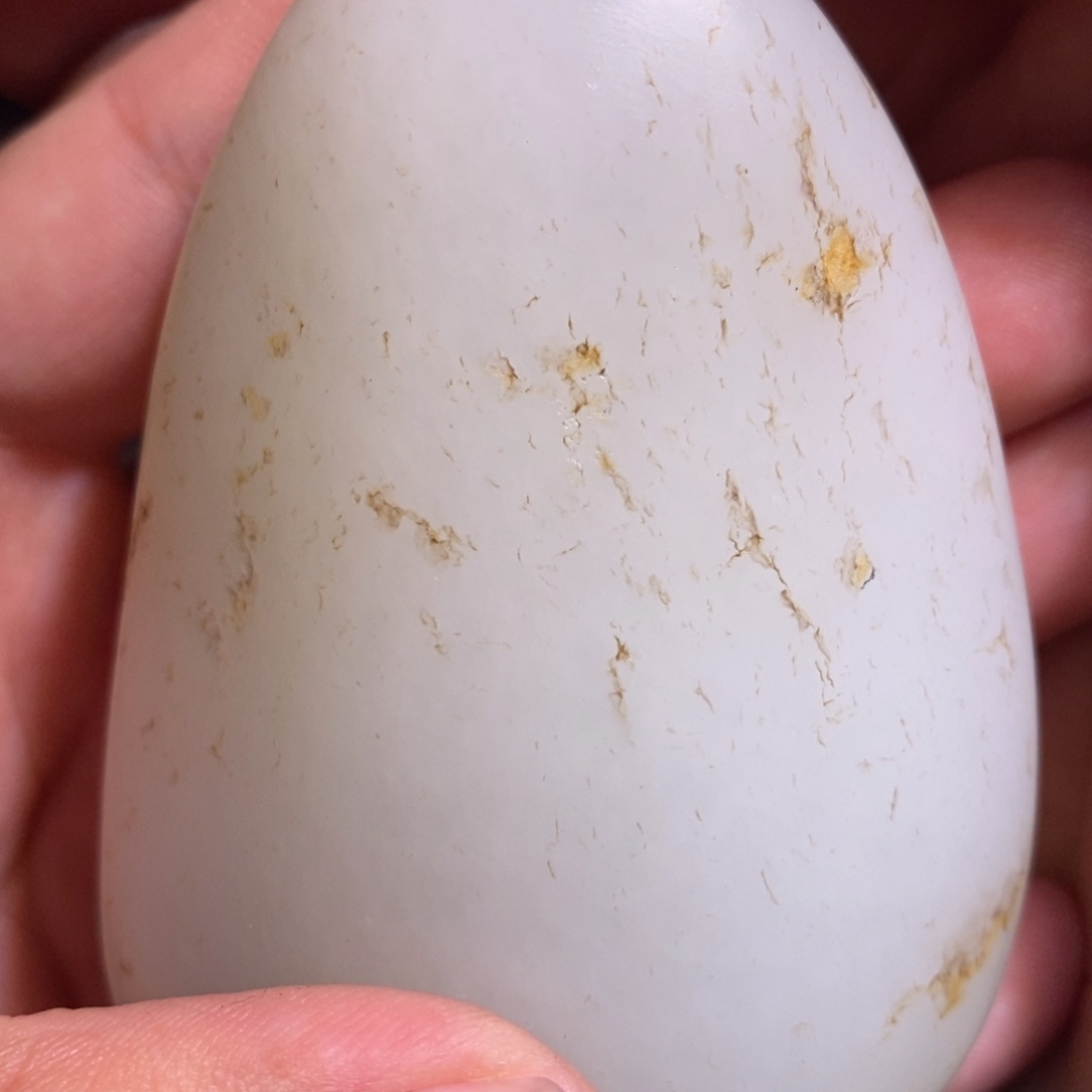 用***弟定制和田玉未镶嵌1