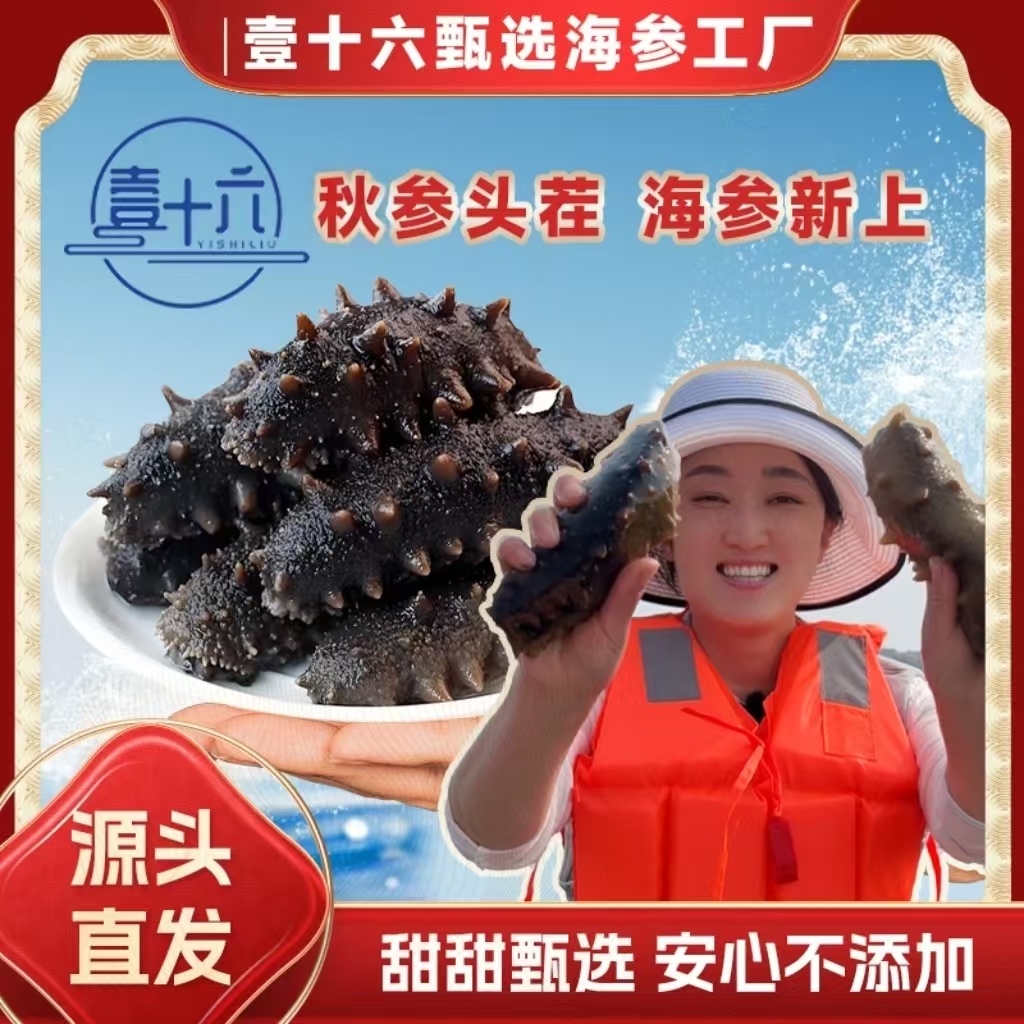 【壹十六头茬秋参 鲜食海参】2斤鲜食海参 6-13头