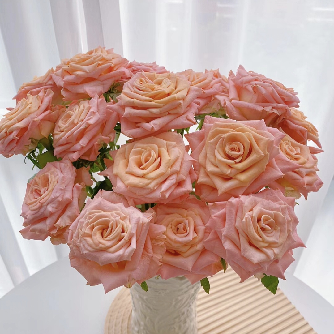 10枝微光单头玫瑰【两单顺丰冷链或京东快递】云南家用水养鲜花