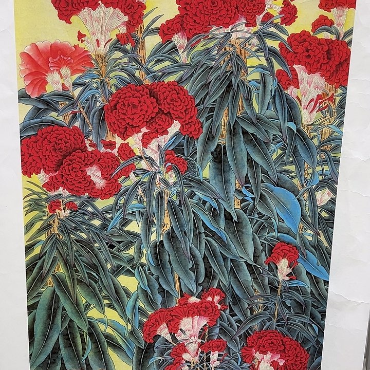 联诺画院漂亮画画画画