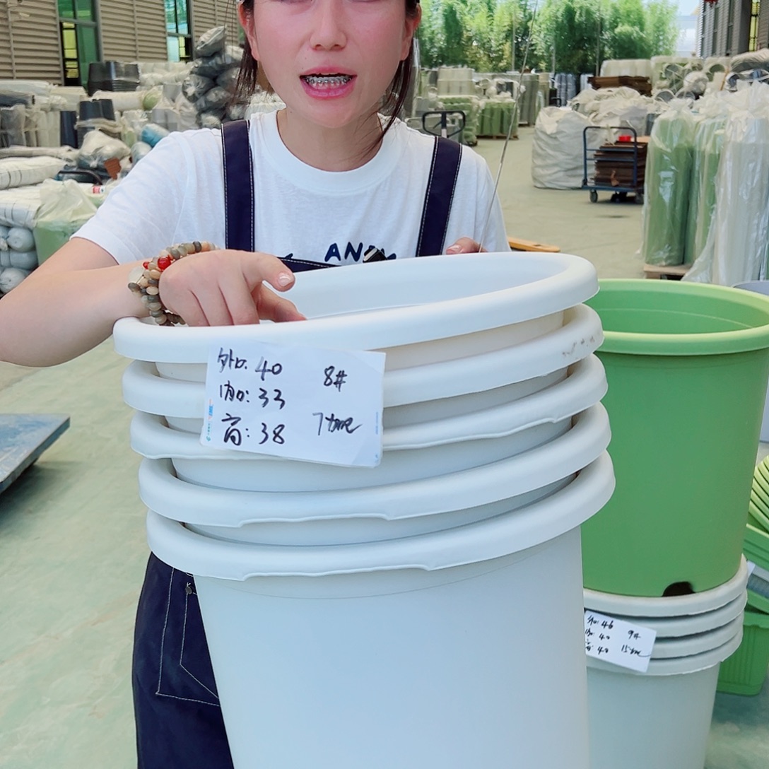 瑕疵四季盆8#白色5个无托