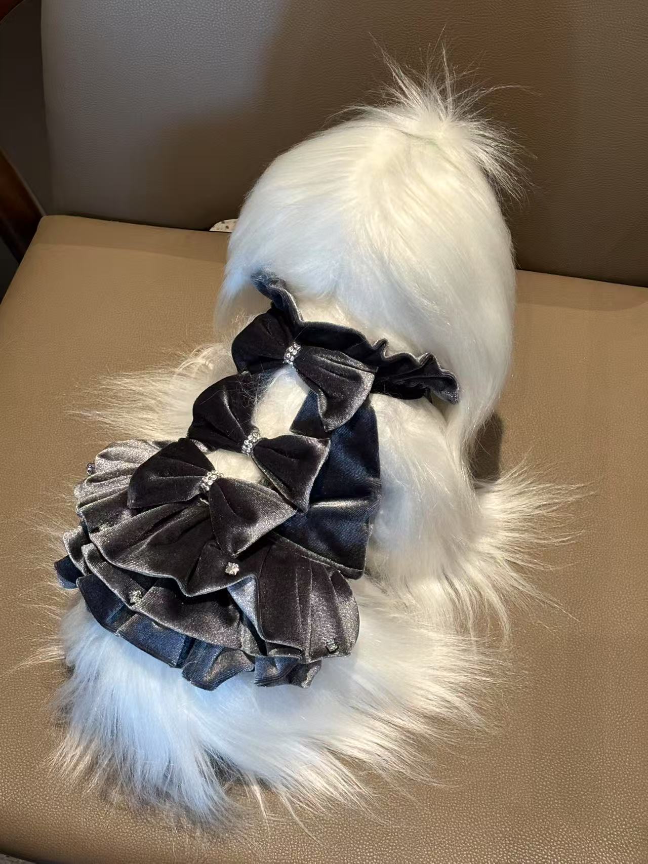 宠物衣服连衣裙礼服猫狗通用天鹅绒礼物春夏秋