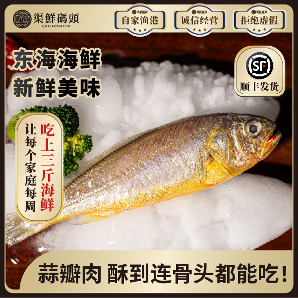 渠鲜码头东海野化小黄鱼两条3-5两/条