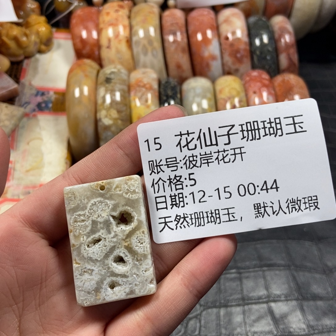 彼***开硅化珊瑚（珊瑚玉）未镶嵌珠宝半成品15