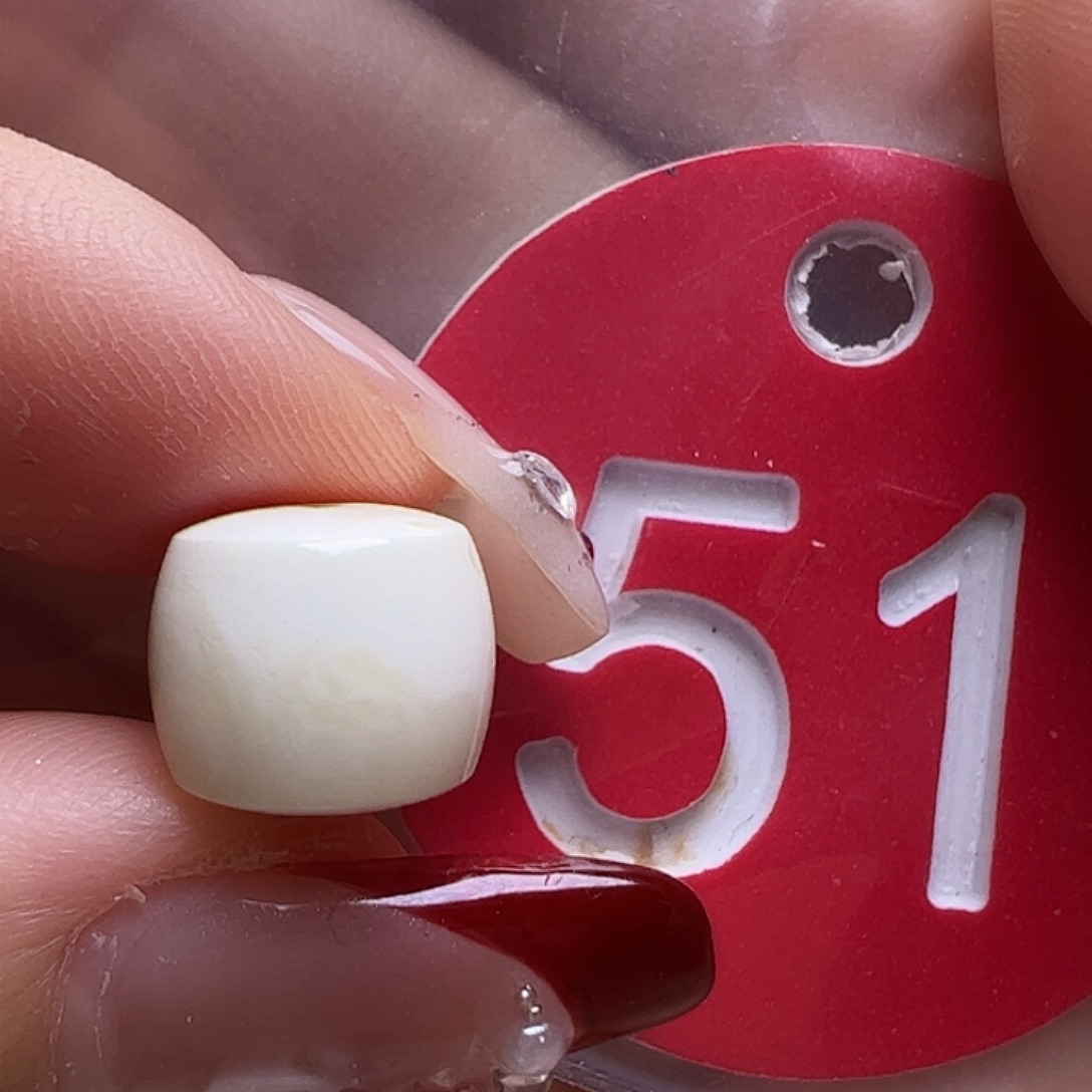 蜜蜡未镶嵌珠宝奇石10.5mm瓷白直切