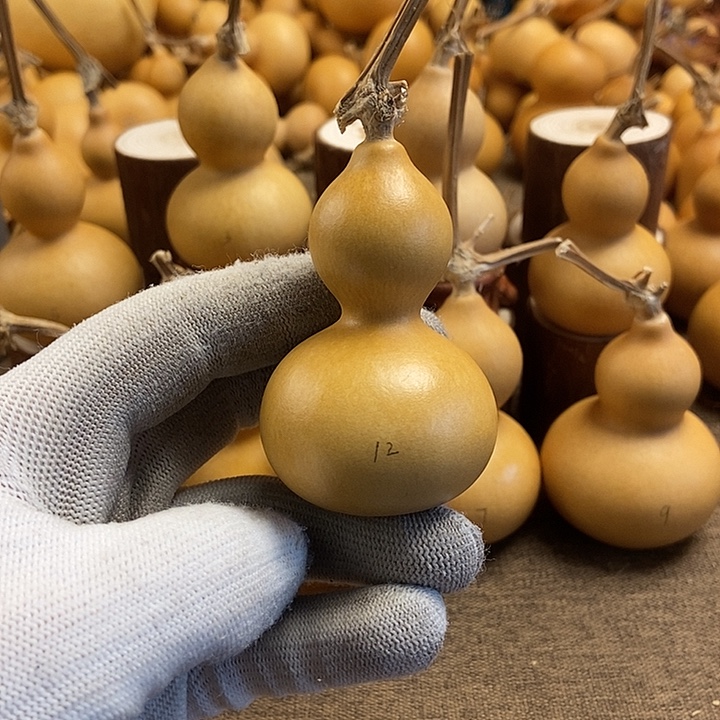 文玩葫芦 完美主义者 慎拍12