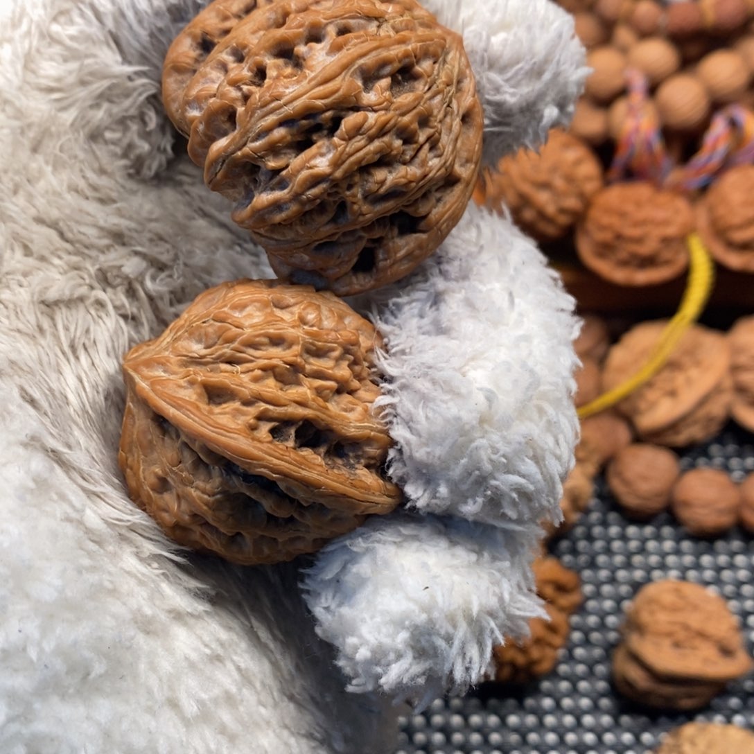 秦岭森林中发现过几