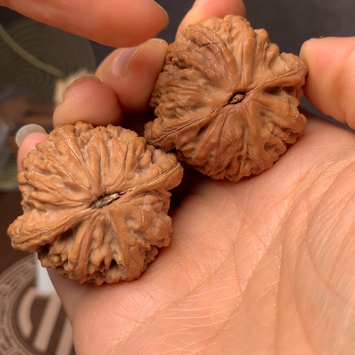 神***眸虎头21条共十几块肉片