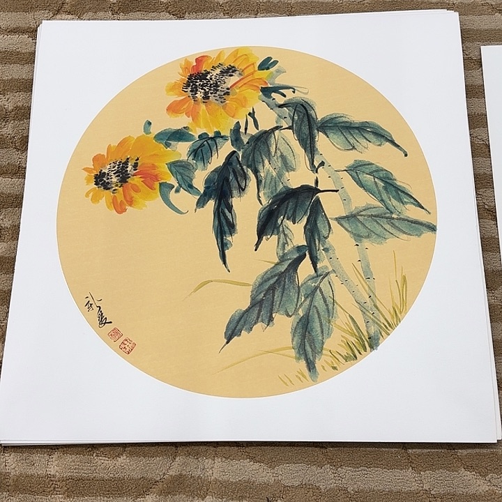 国画花鸟的翅膀和羽毛的50.50