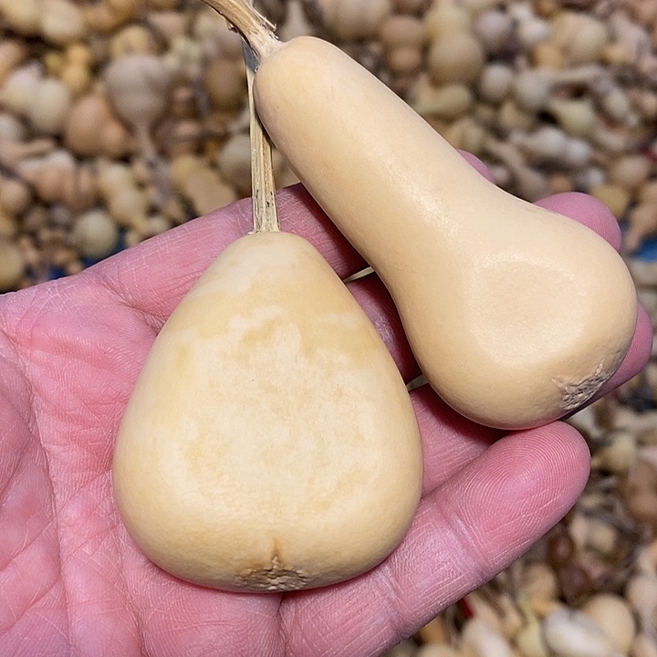 保***哥精品葫芦手把葫芦9