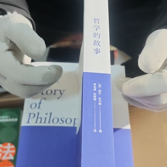 哲学的故事平装库存书（务必塑封）没书衣