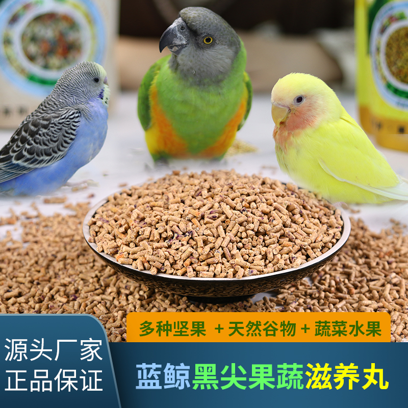 蓝鲸黑尖果蔬滋养丸鹦鹉专属营养素多种坚果多种营养元素营养均衡