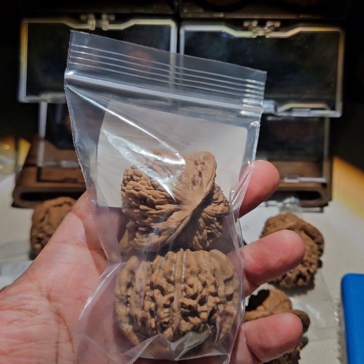 把件文玩核桃硕*SZ804