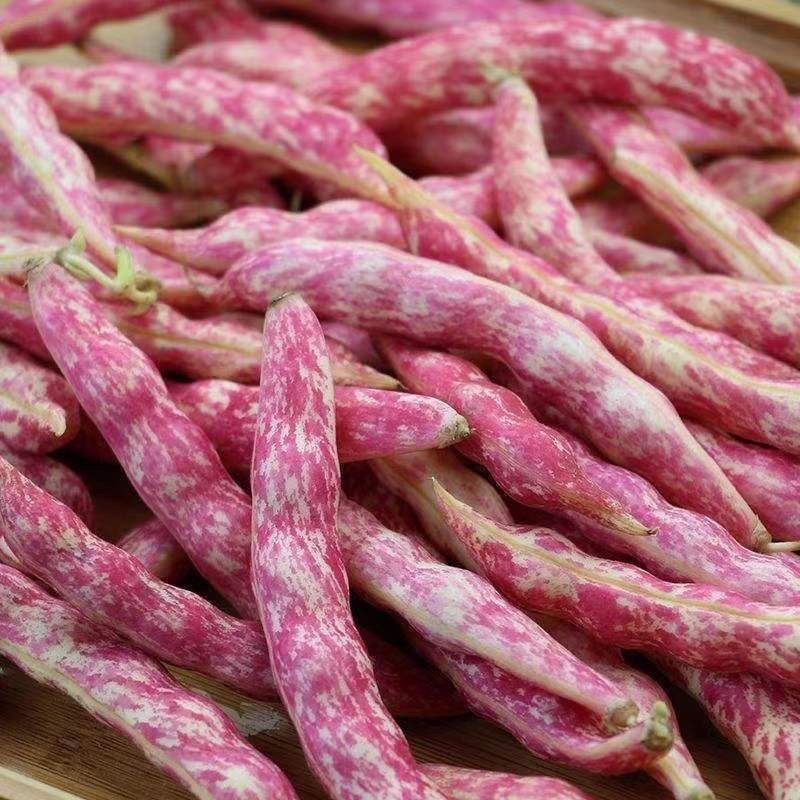 云南高原山货~花豆~卤蛋甄选