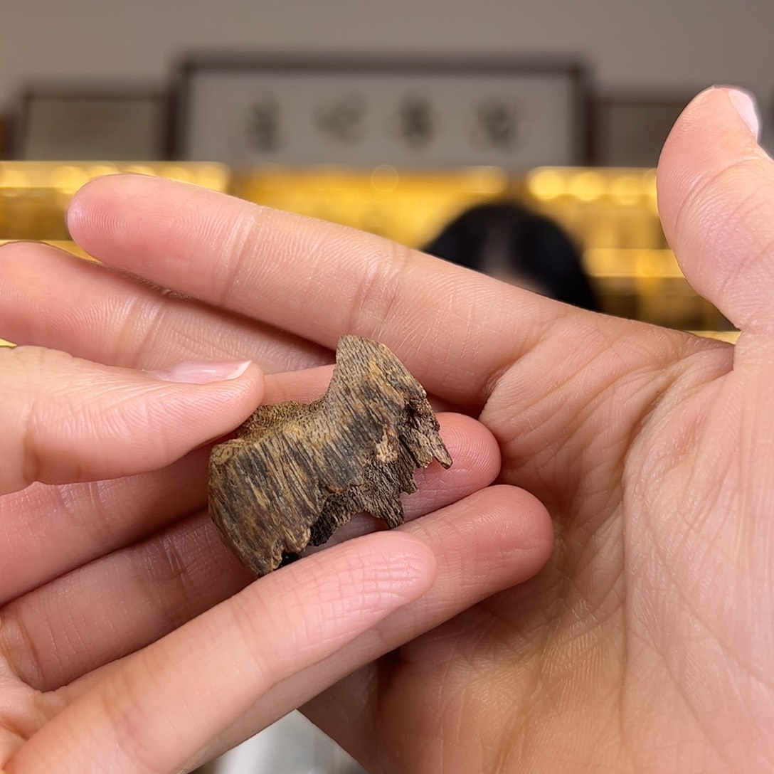 沉香沉香碎屑王****生奇楠陆河沉香原材料一块