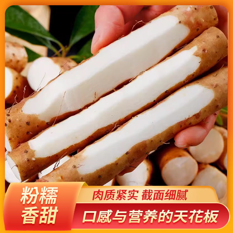 软糯滋补正宗垆土铁棍山药新鲜蔬菜产地直发长15-25公分