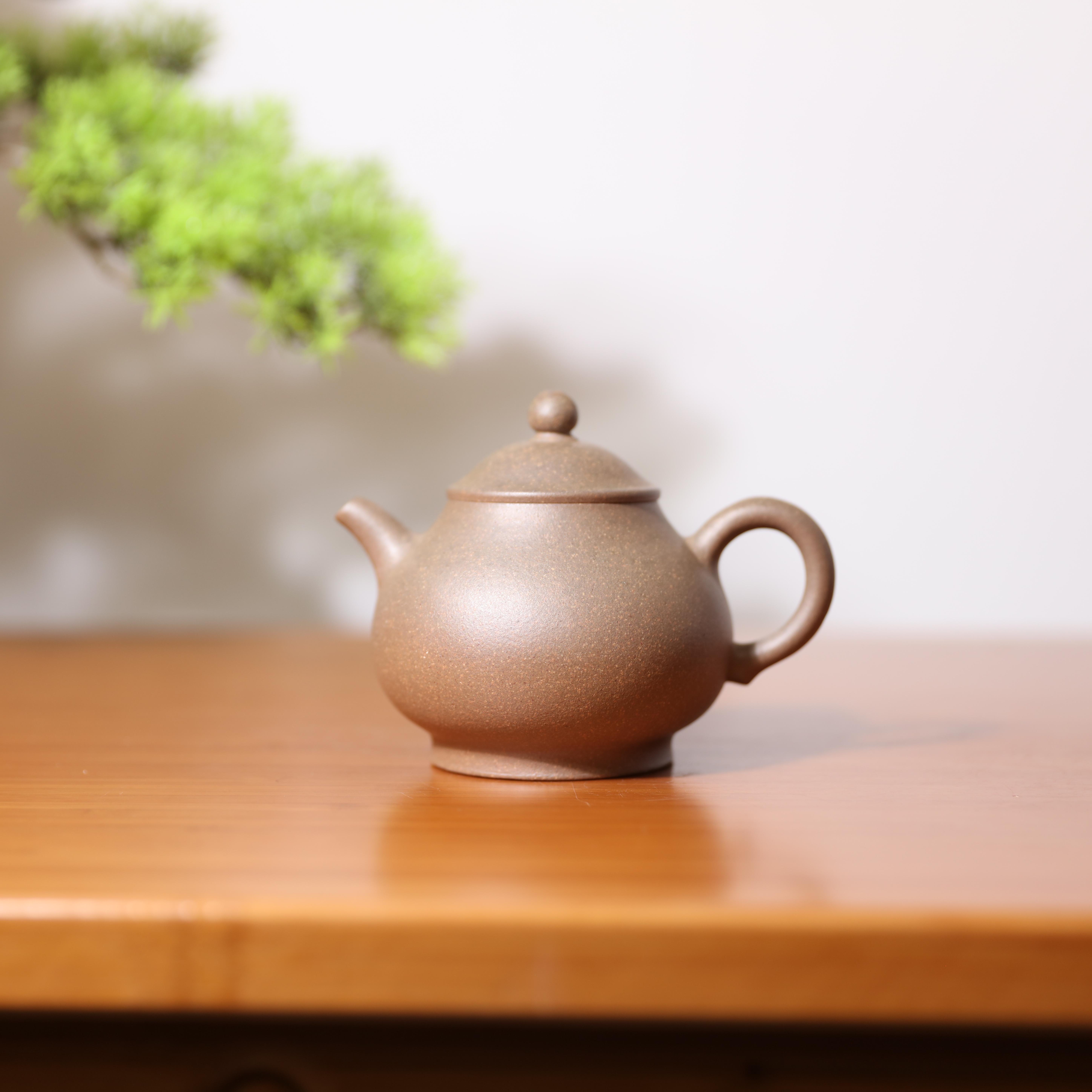 【前墅龙窑丨潘壶】范立娣 150cc 青段紫砂壶