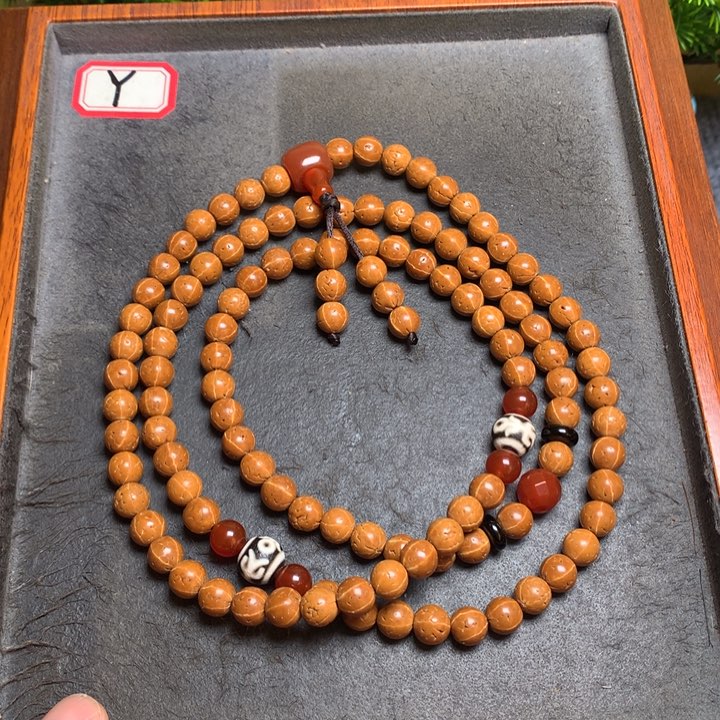 金刚菩提吊坠菩提
