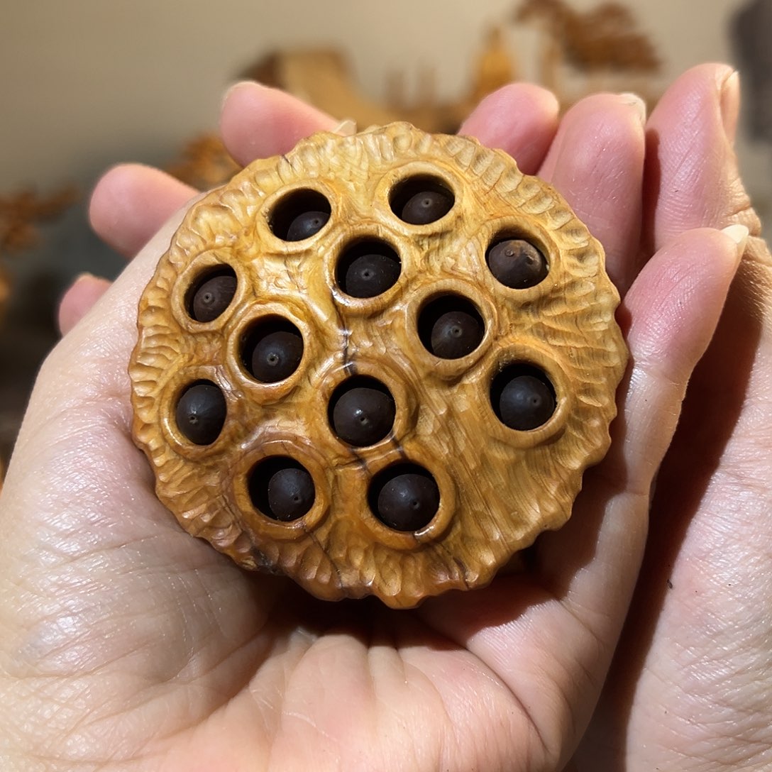 柏木（崖柏）太行崖柏