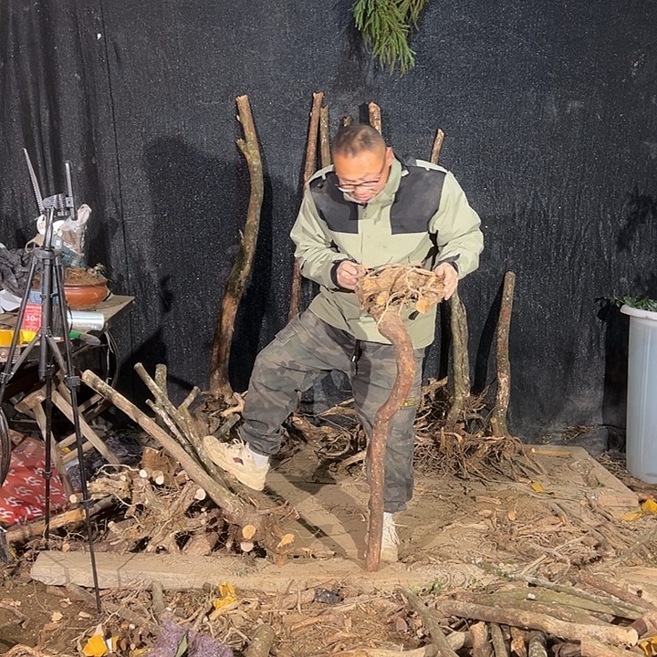 无花朵哇好可爱的一只小